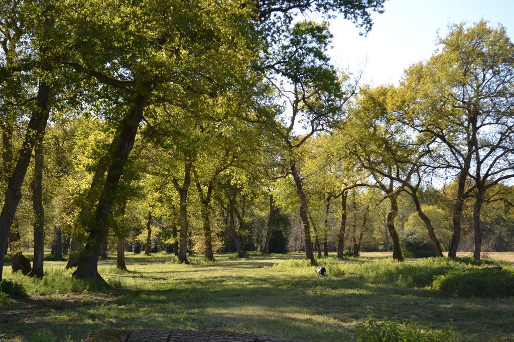 Les Chambres D'Hotes Du Domaine De Lugazaut Vielle-Soubiran Εξωτερικό φωτογραφία